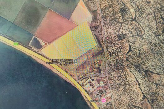 Küçükköy Tuzla satılık zeytinlik
