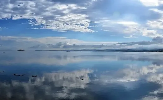 Sarımsaklı deniz suyu soğuk mu
