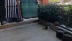 Sarımsaklı Fırın Bölgesinde Denize 200 m Eşyalı Kiralık 1+1 Daire - galeri görseli 15